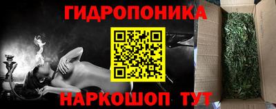 твердый Берёзовский