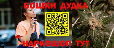 дмт Бийск