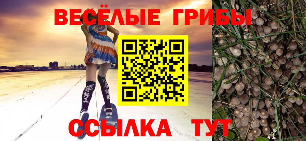 Галлюциногенные грибы прущие грибы Асбест