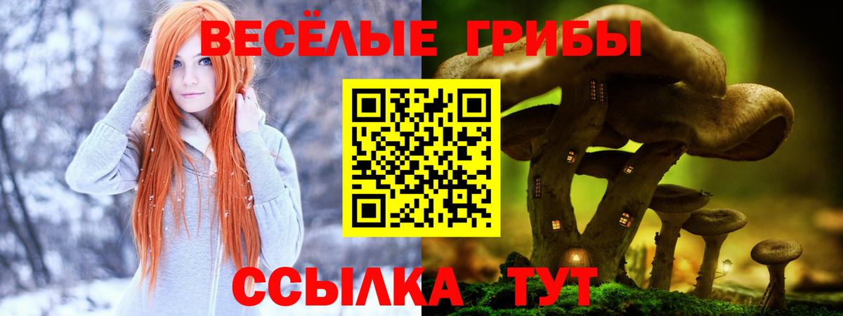Асбест  Галлюциногенные грибы ЛСД  Вход с VPN  наркотики  Псилоцибиновые грибы мухоморы 